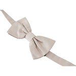 Dolce & Gabbana Gray 100% Silk Adjustable Neck Papillon Tie FT3621