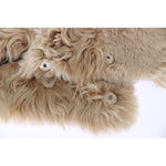 Dolce & Gabbana Beige Alpaca Collar Scarf MS810-1