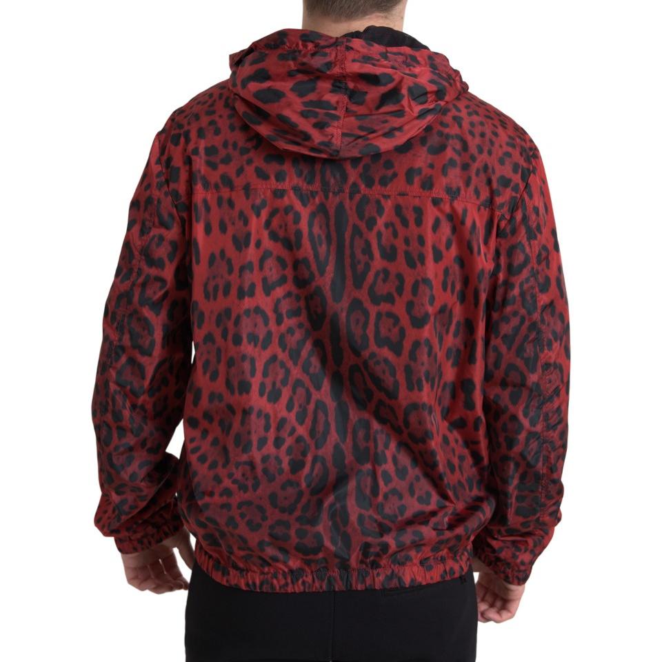 Dolce & Gabbana Red Leopard Hooded Bomber Jacket Dolce & Gabbana Dark Slate Gray