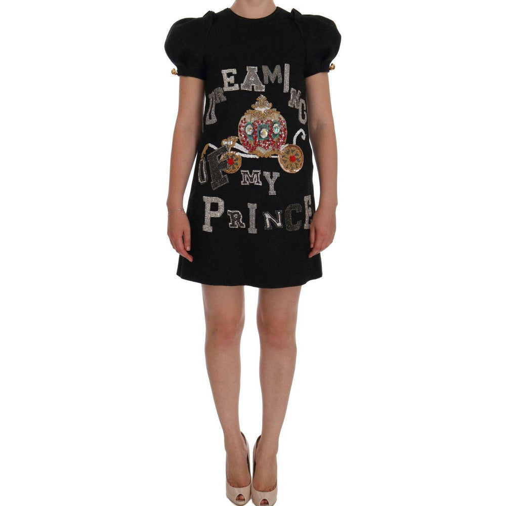 Dolce & Gabbana Gray Crystal "Dreaming of My Prince" Dress DR1141-1