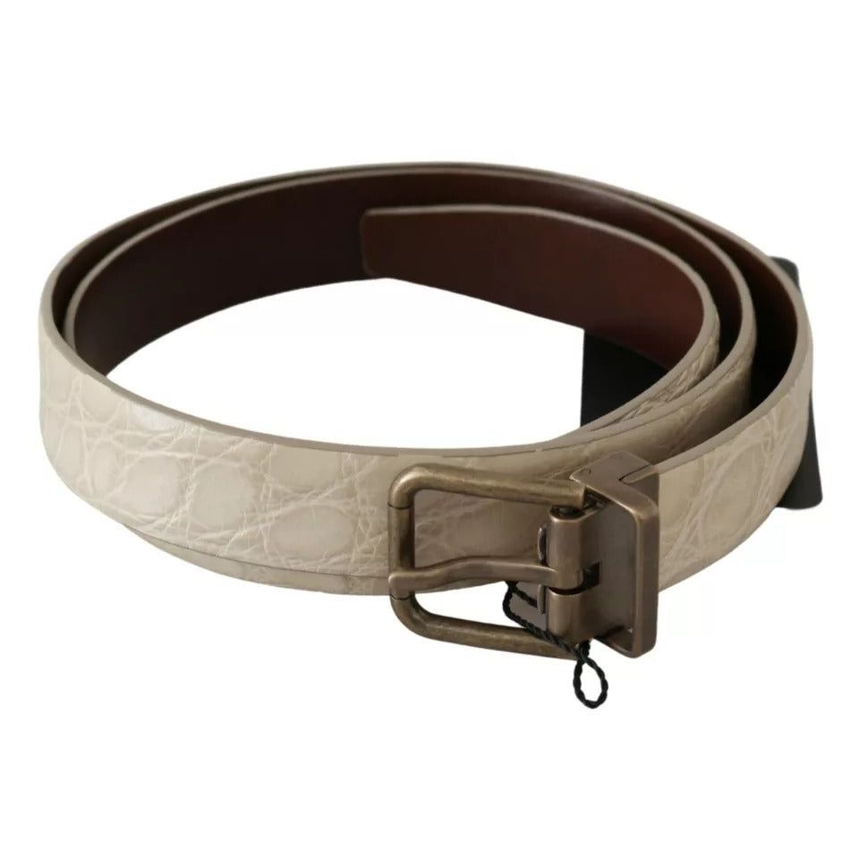 Dolce & Gabbana Cream Beige Gold Buckle Waist Leather Belt BEL60629-100