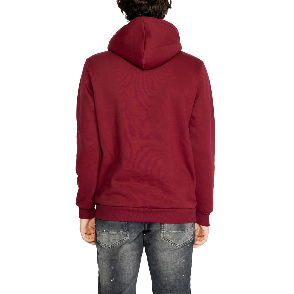 Icon Bordeaux Cotton Hoody