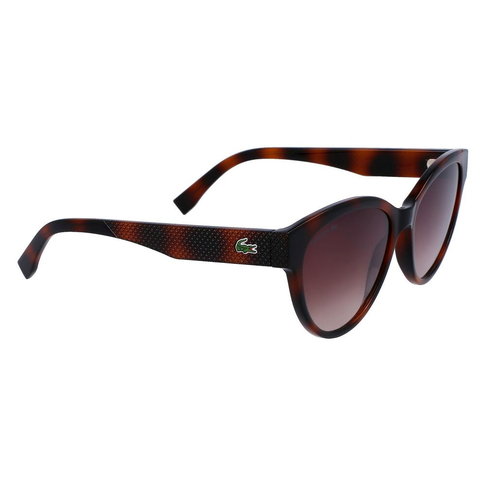 Lacoste Brown Injected Sunglasses Lacoste