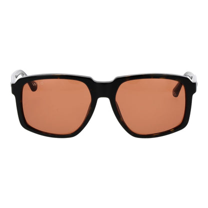 Web Brown Acetate Sunglasses