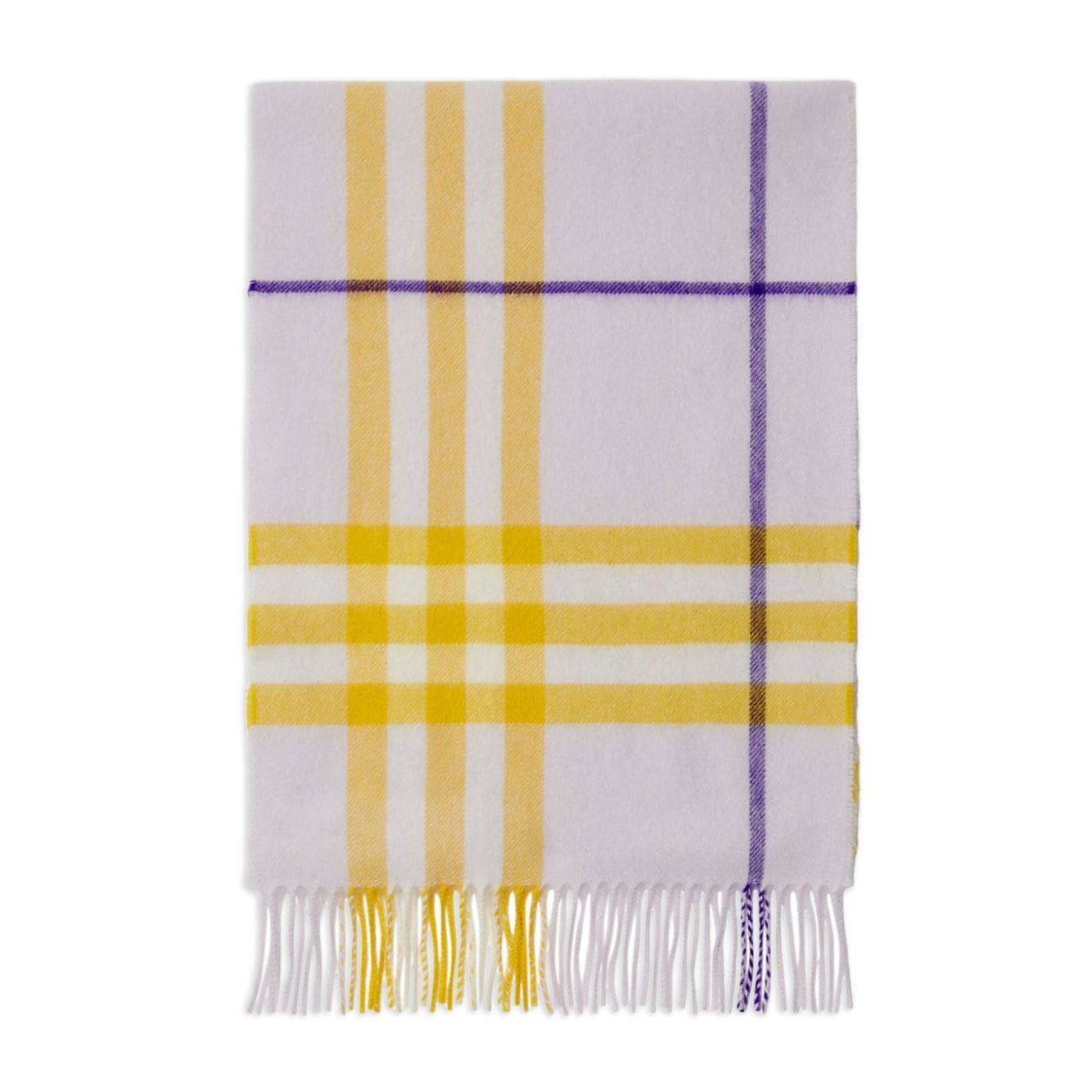Burberry checked fringed-edge cashmere scarf