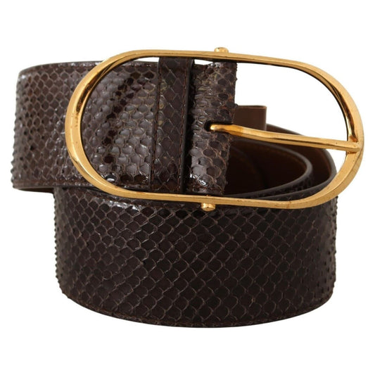 Dolce & Gabbana Elegant Python Leather Belt with Gold Buckle Dolce & Gabbana Dark Slate Gray