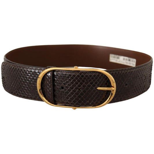 Dolce & Gabbana Elegant Python Leather Belt with Gold Buckle Dolce & Gabbana Dark Slate Gray