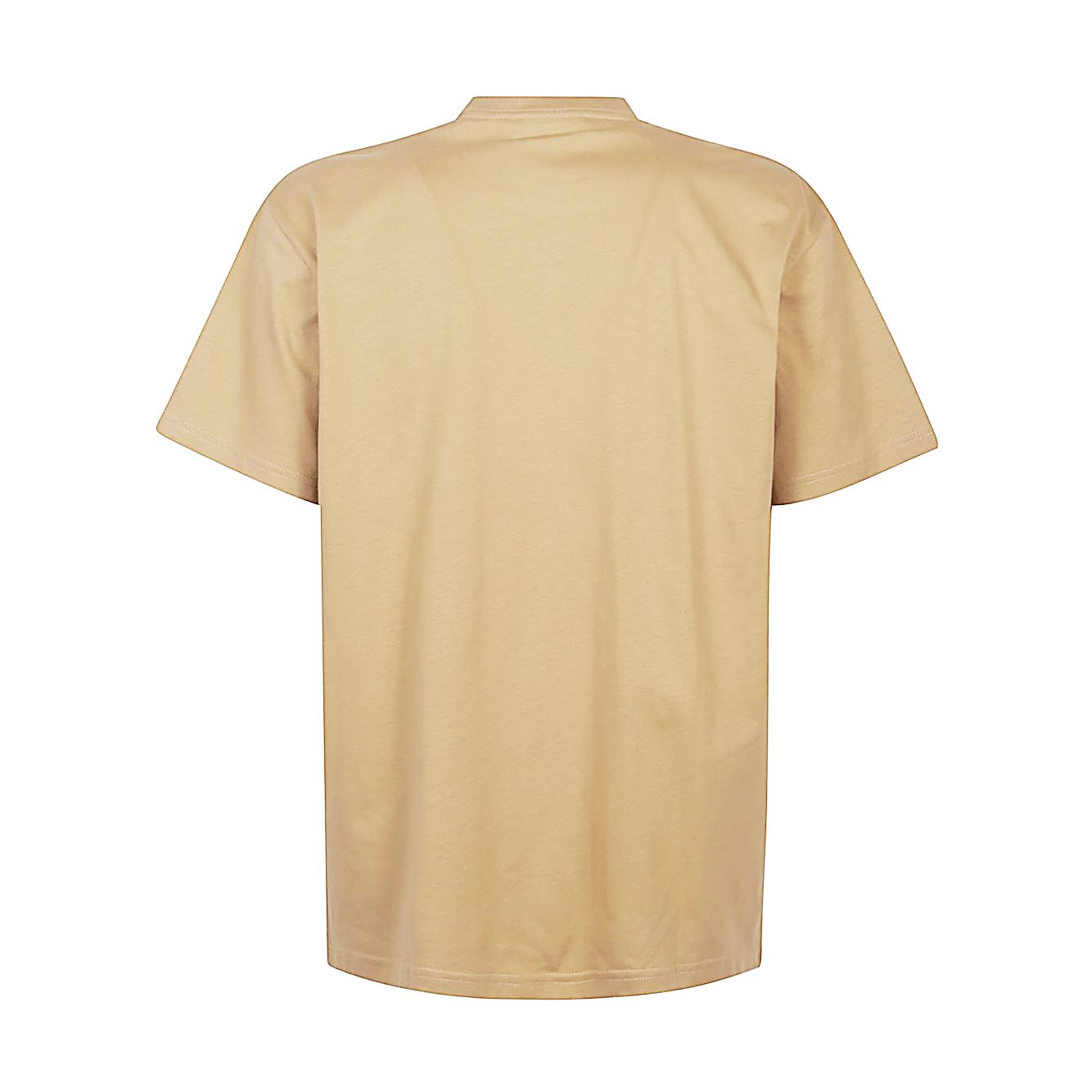 CARHARTT WIP PRE T-shirts and Polos Brown Topwear