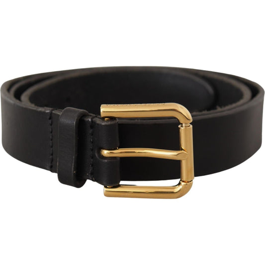 Dolce & Gabbana Brown Classic Leather Gold Metal Buckle Belt