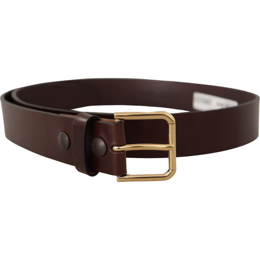 Dolce & Gabbana Brown Polished Leather Gold Tone Metal Buckle Belt