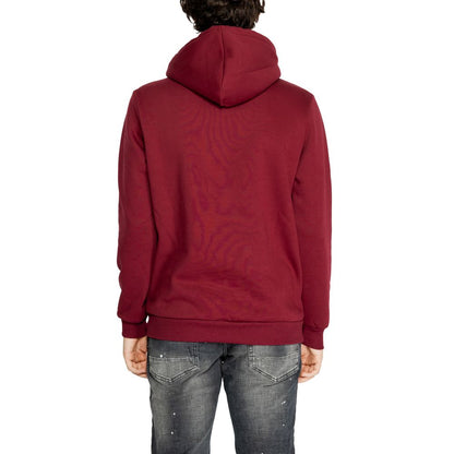 Icon Bordeaux Cotton Hoody