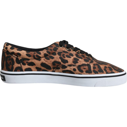 Dolce & Gabbana Brown Leopard Logo Print Cotton Sneakers Shoes MV6602-40.5