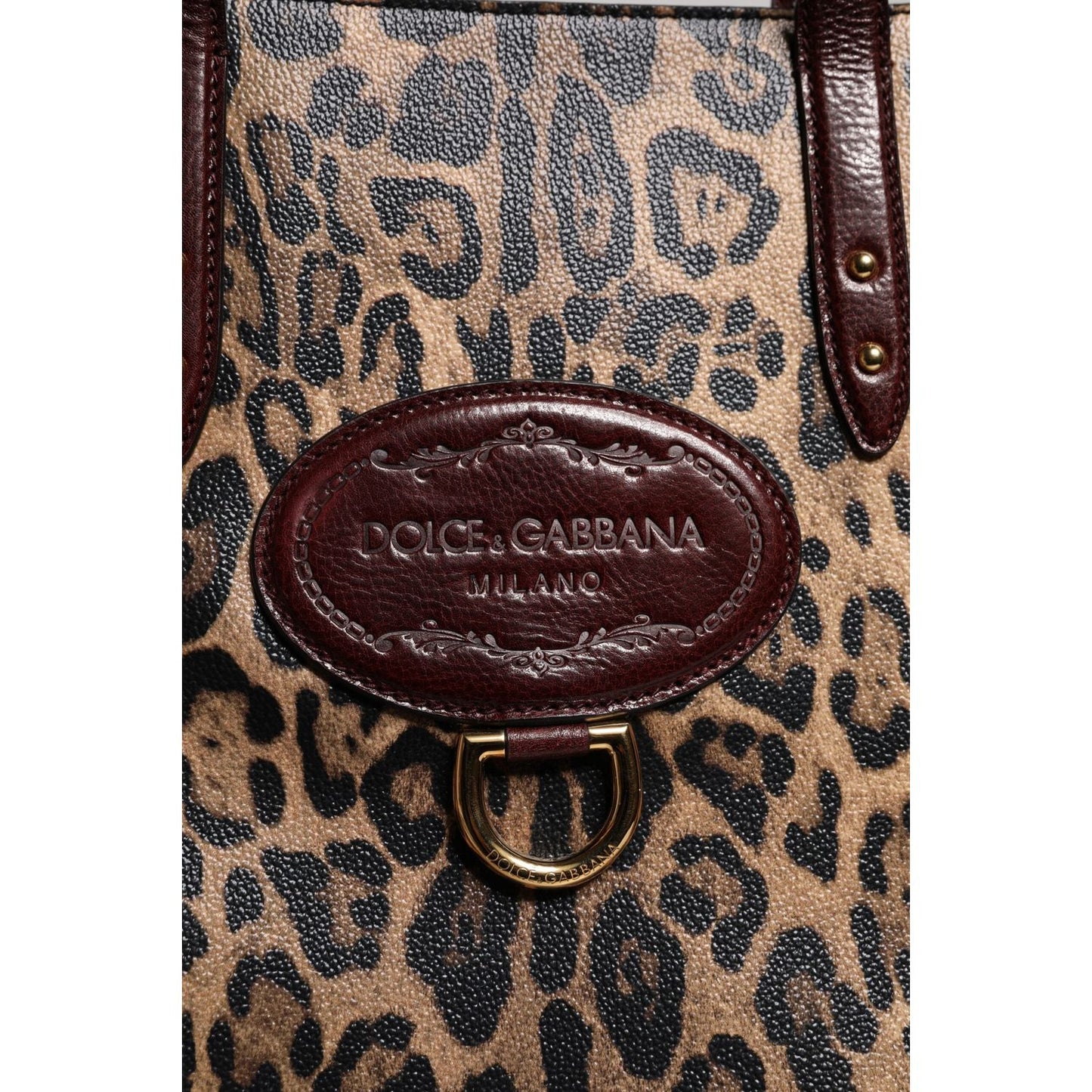 Dolce & Gabbana Brown Leopard Leather Shoulder Strap Tote Bag