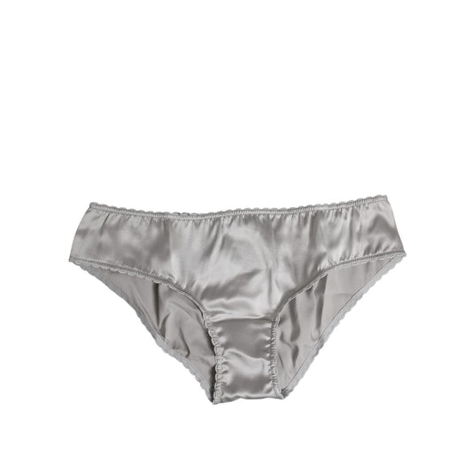 Dolce & Gabbana Gray Silk Stretch Bottom Low Waist Panty Underwear