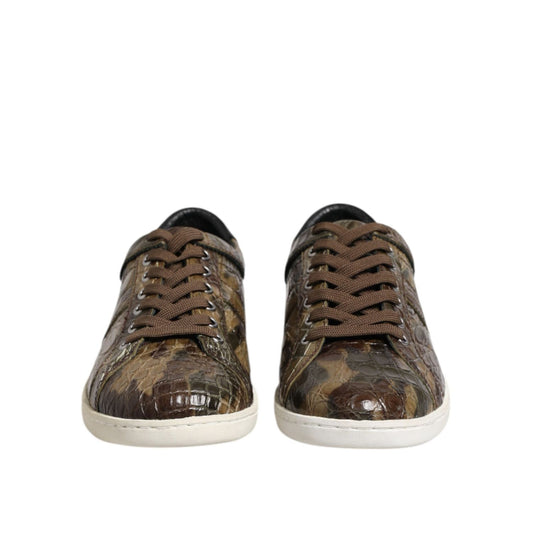 Dolce & Gabbana Brown Exotic Leather Low Top Sneakers Shoes MV7560-40