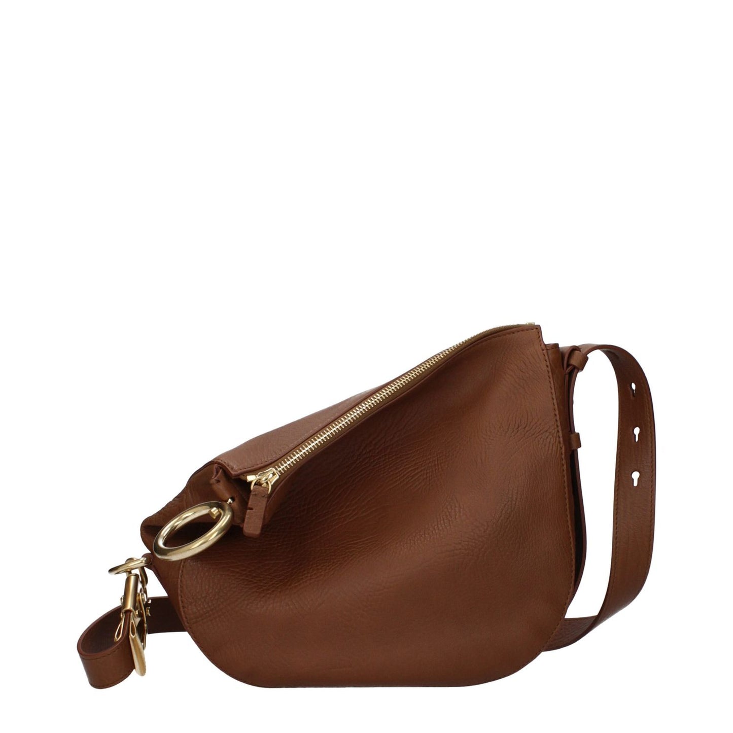 Burberry Brown Leather Crossbody Bag with adjustable strap and zip closure, medium size, casual style, 100 cm strap