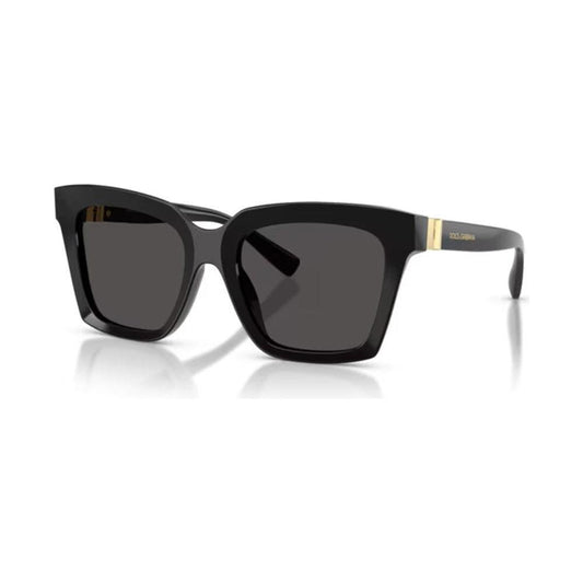 DOLCE & GABBANA MOD. DG 4498 SUNGLASSES & EYEWEAR DOLCE & GABBANA SUNGLASSES Dark Slate Gray